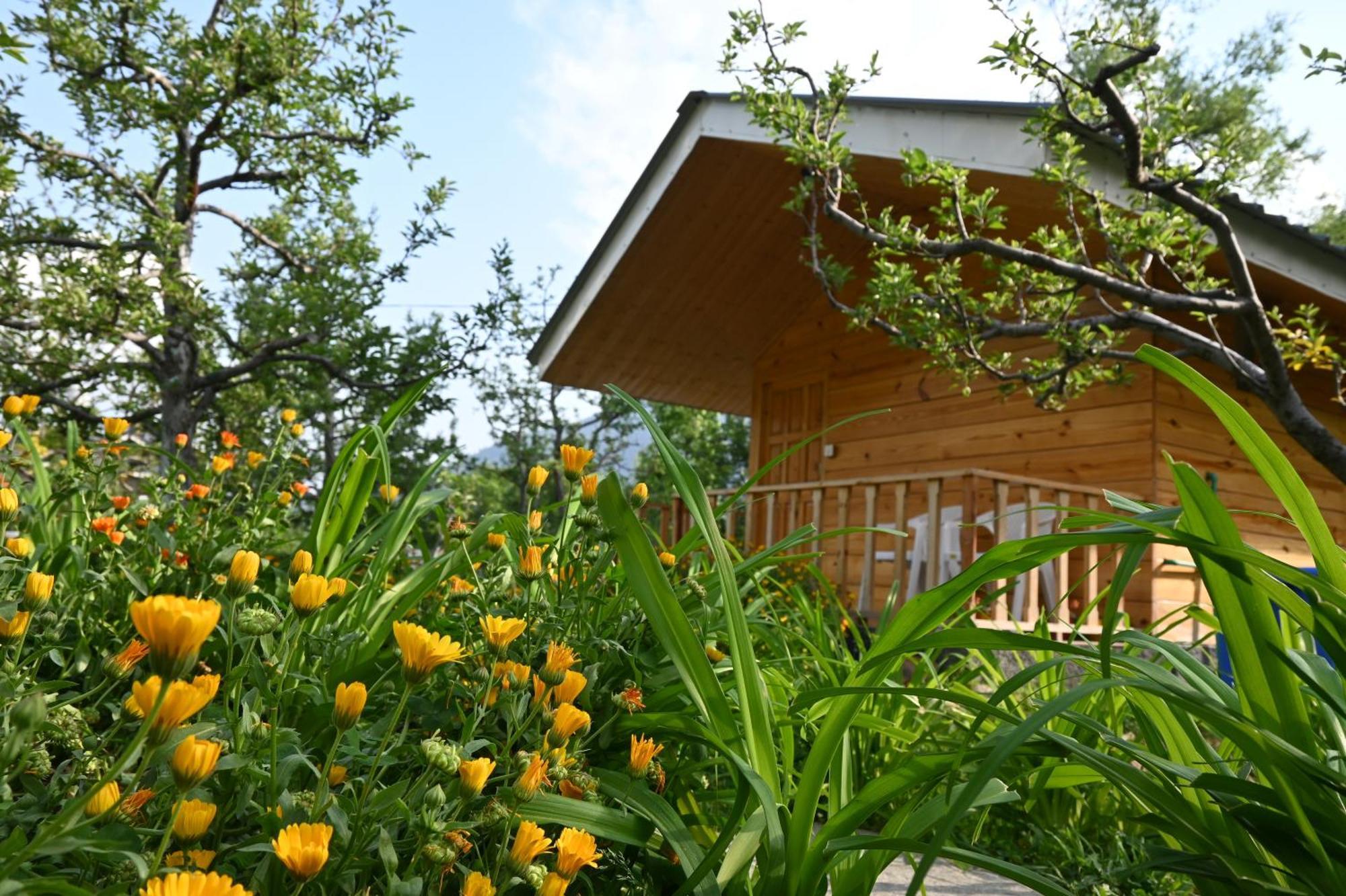 Cascade Mountain Retreat Manali Bed & Breakfast Eksteriør bilde