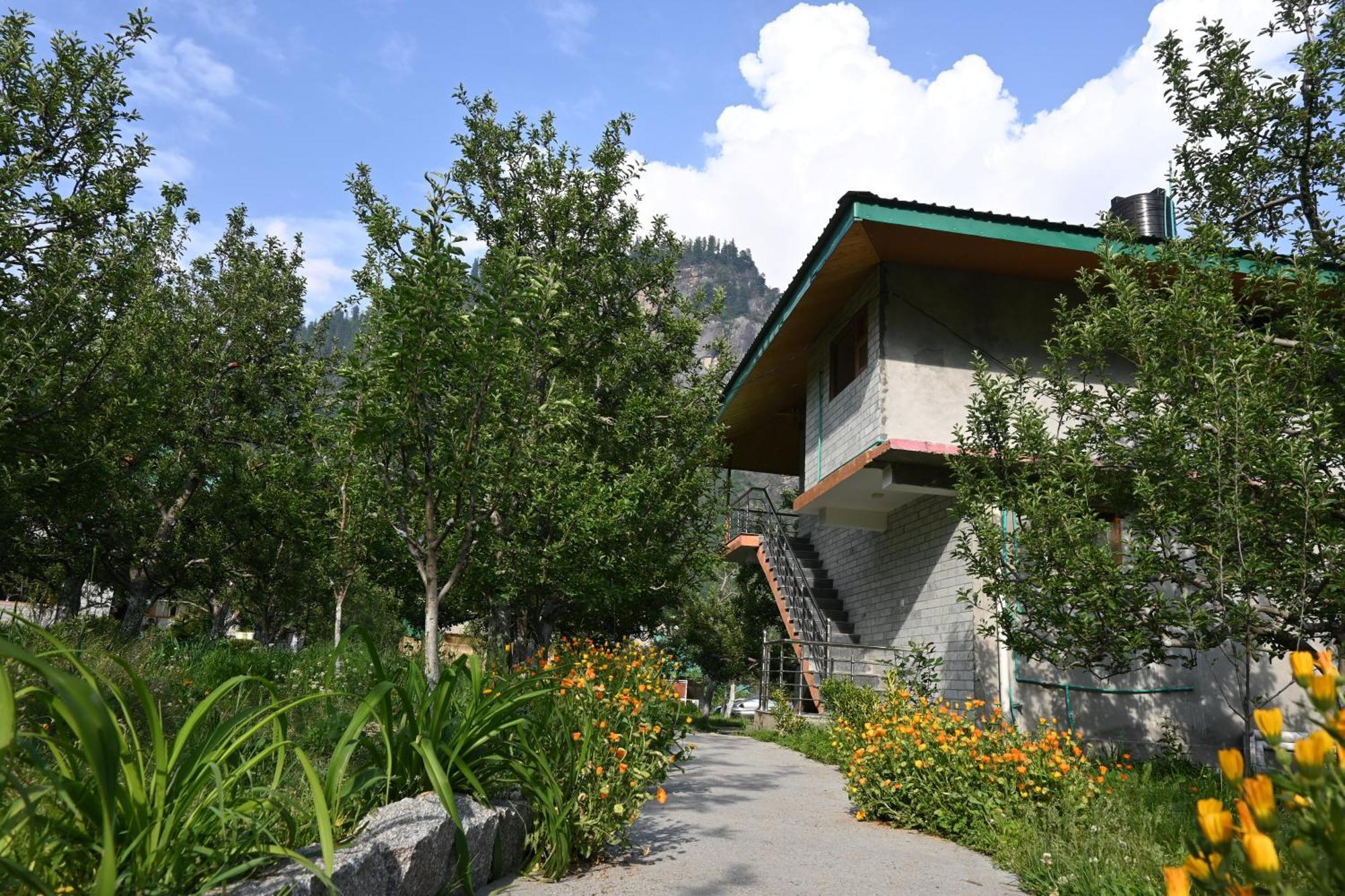 Cascade Mountain Retreat Manali Bed & Breakfast Eksteriør bilde
