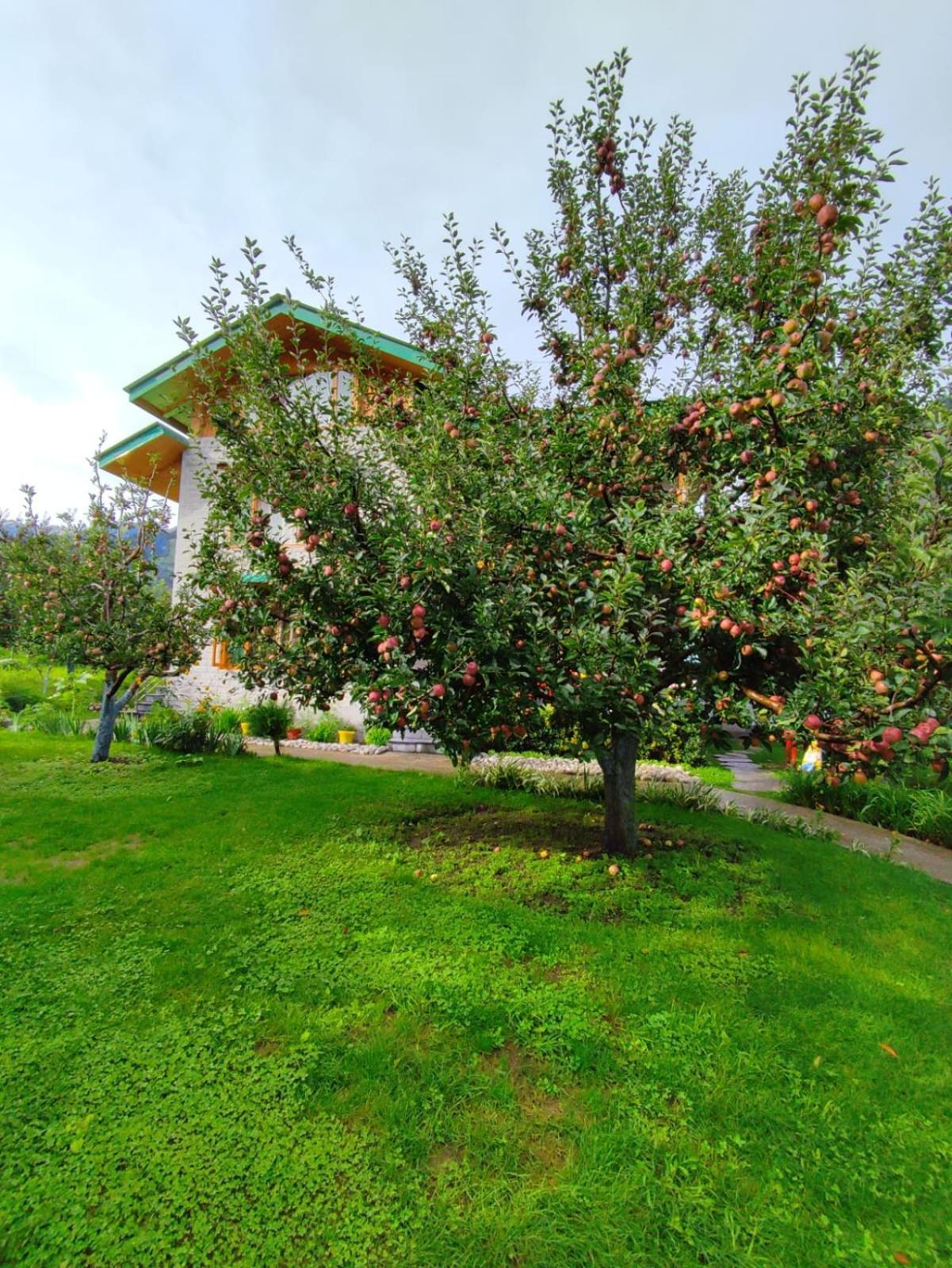 Cascade Mountain Retreat Manali Bed & Breakfast Eksteriør bilde